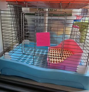 (Category: ) located in . Submitted by esww28 (Listing ID 1140455031, Image 1). Description: .