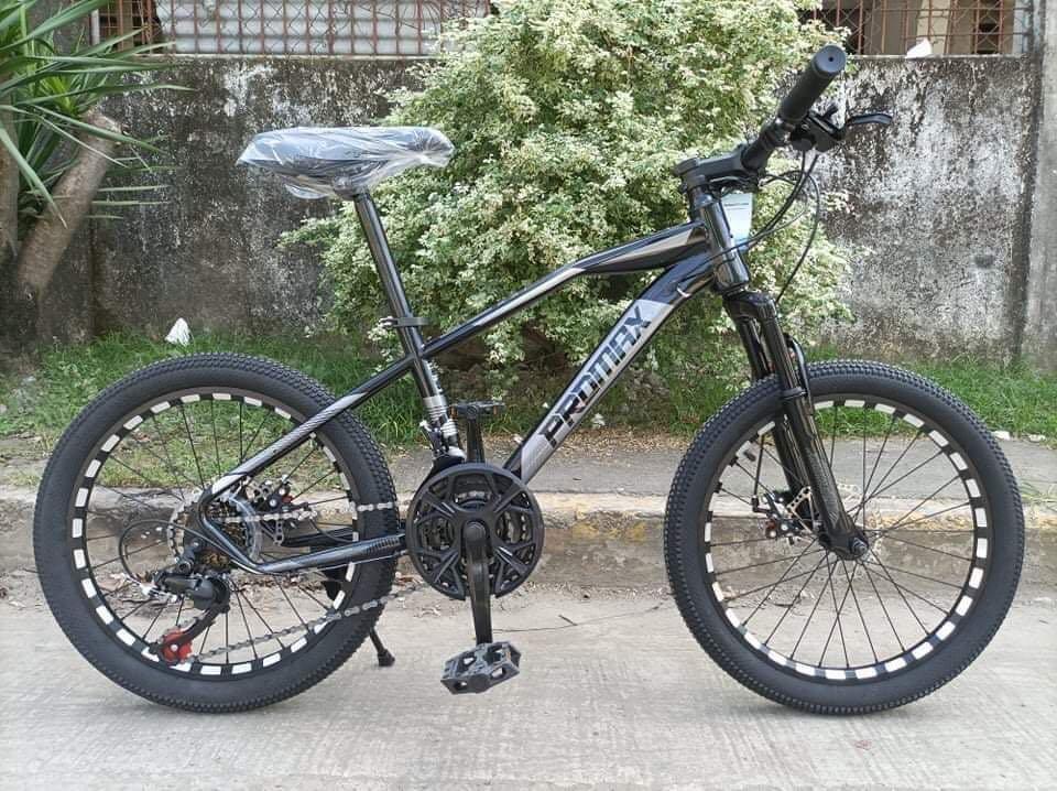 Promax PM50 size 20 kids bike Sports Equipment Bicycles Parts Bicycles on Carousell