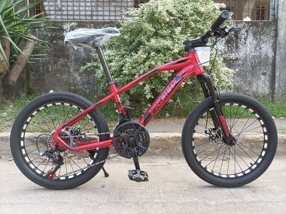 Promax PM50 size 20 kids bike Sports Equipment Bicycles Parts