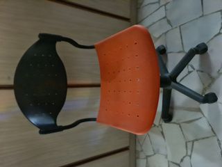 (Category: ) located in . Submitted by botanico_ (Listing ID 1140533182, Image 1). Description: .
