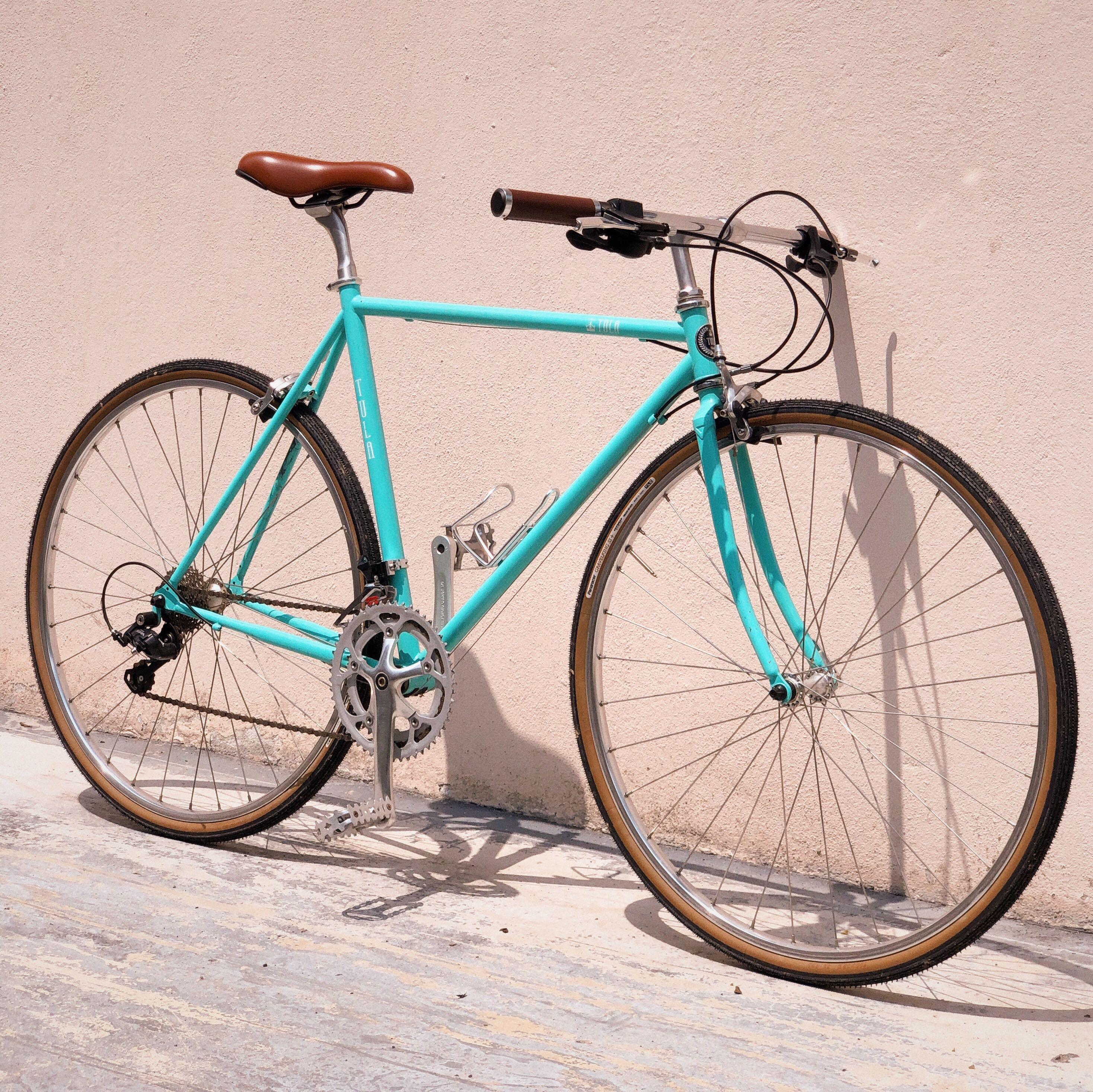 Urban store touring bike