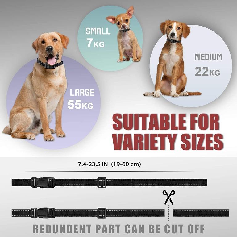 Hurstville anti barking shop dog collar