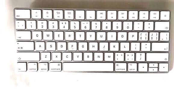 (Category: ) located in . Submitted by sjlin83 (Listing ID 1135157999, Image 1). Description: .