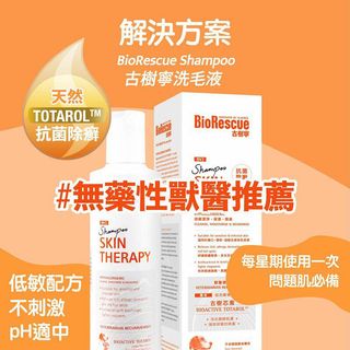 （分類：）位於 。 由 animalhand888 提交（商品編號 1135205801，圖片 1）。簡介： 。