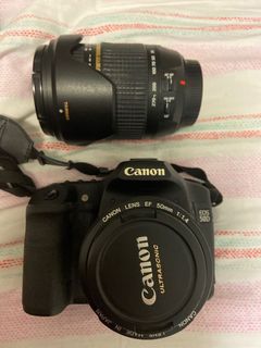 （分類：）位於 。 由 suzannedaniel 提交（商品編號 1135173247，圖片 1）。簡介： 。