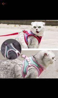 Cat harness & leash