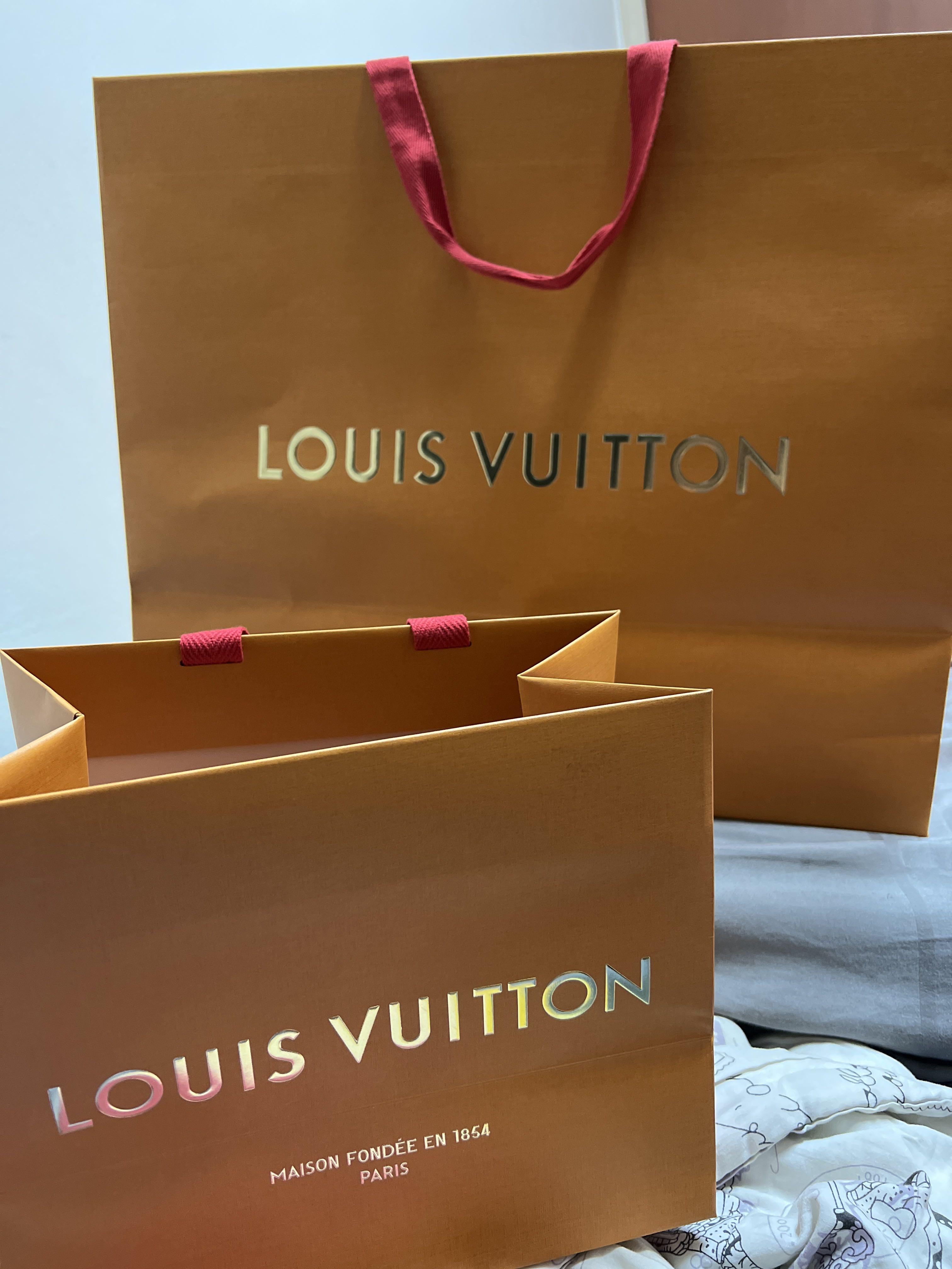 Louis Vuitton (LV) Paper Bags, Luxury, Accessories on Carousell