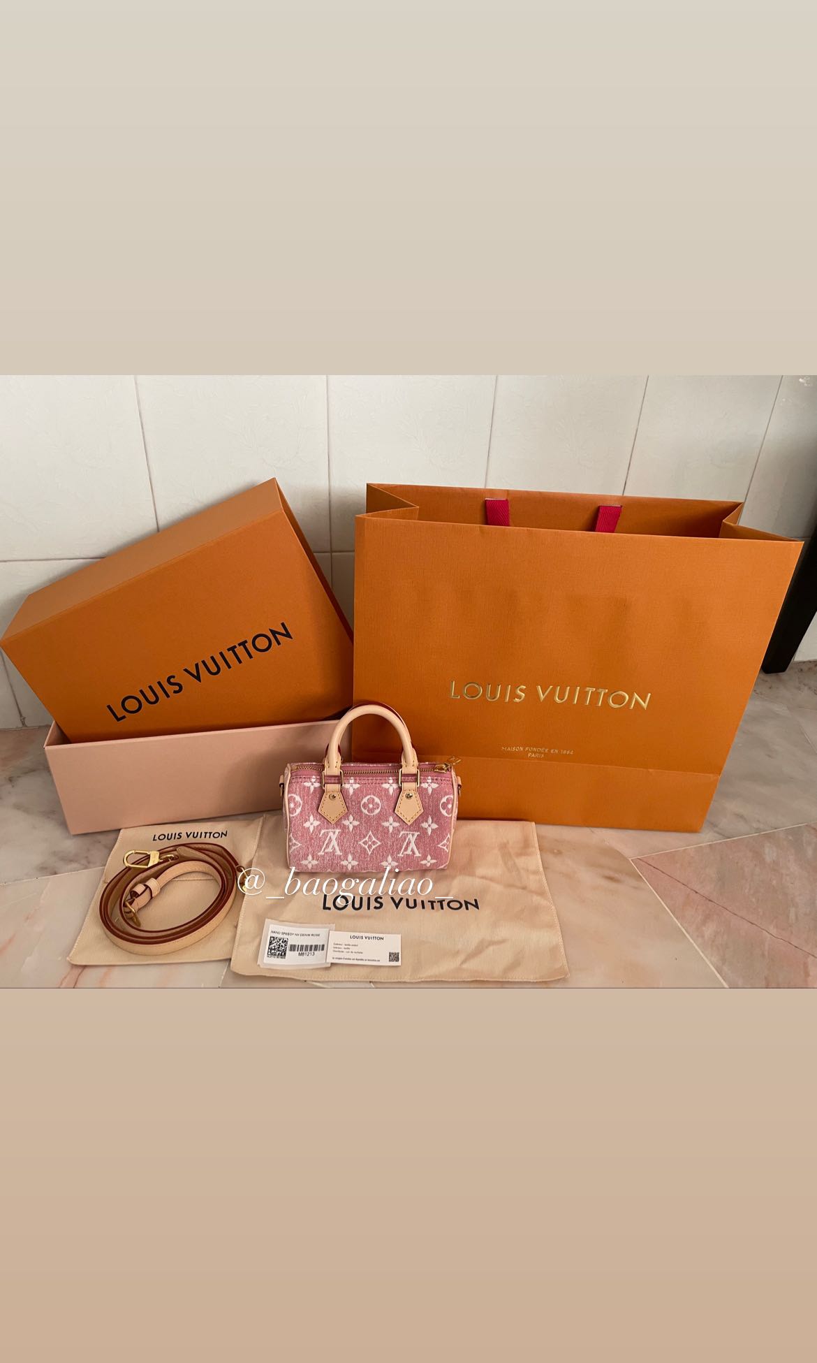 Louis Vuitton Monogram Denim Rose Nano Speedy Bag For Sale at