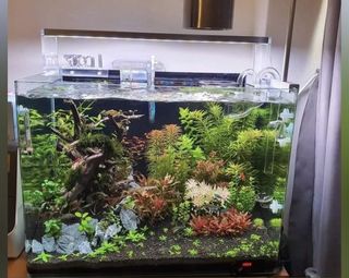 (Category: ) located in . Submitted by freedom4618 (Listing ID 1135154337, Image 1). Description: .