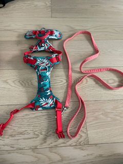 （分類：）位於 。 由 hanadaco 提交（商品編號 1140701755，圖片 1）。簡介： 。
