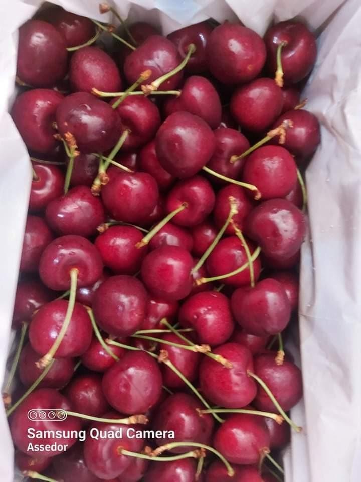 Cherry Delight New Zealand Fresh Premium Cherries 2kls, Food & Drinks