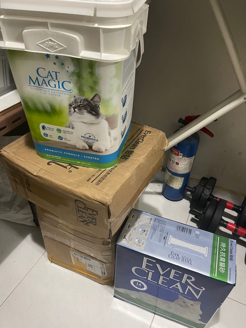 Everclean clumping sand cat litter, Pet Supplies, Health & Grooming on