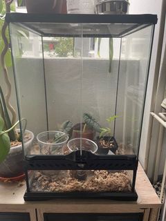 (Category: ) located in . Submitted by mickeyonplants (Listing ID 1140718991, Image 1). Description: .