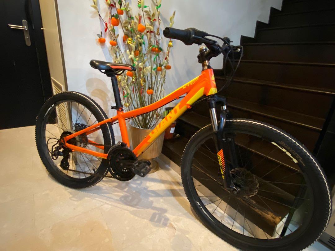 Xtc jr 1 disc 24 deals