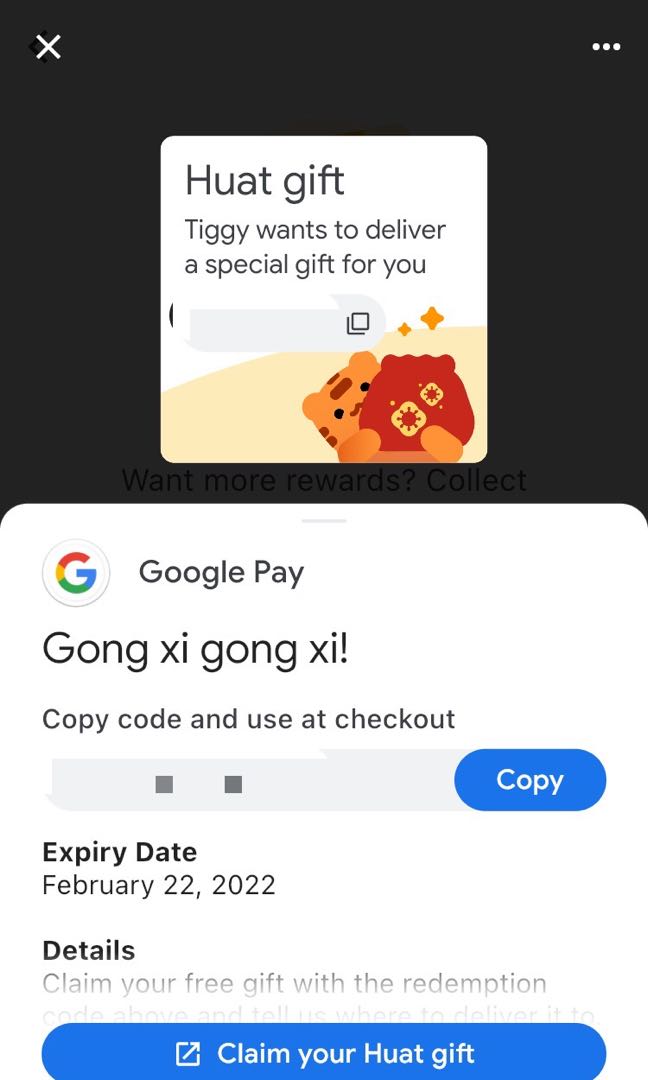 Google Pay Huat Pal Merchandise Code, Tickets & Vouchers, Vouchers on