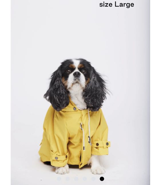 Max Bone Talon Rain Coat size L only used once RRP USD 75