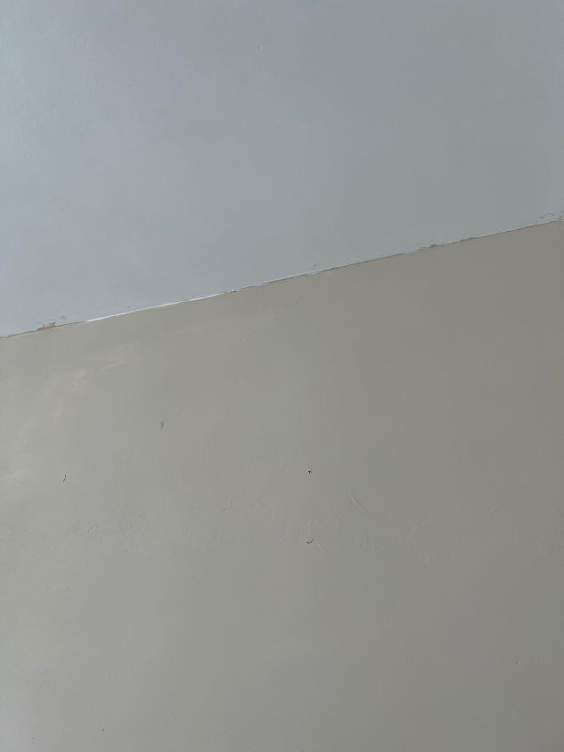 Nippon Odourless Easywash Natural Cane Interior Paint, Furniture