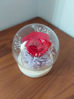 (Category: ) located in . Submitted by candlebooks (Listing ID 1140669430, Image 1). Description: .
