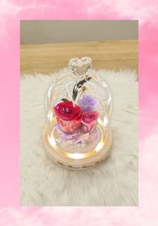 (Category: ) located in . Submitted by theflowerdome (Listing ID 1140805020, Image 1). Description: .