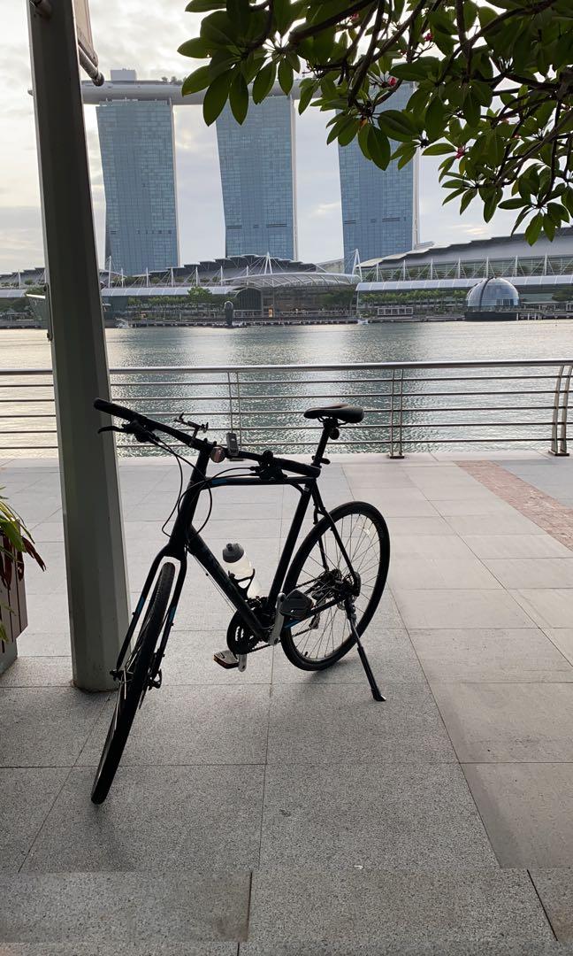 Trek fx2 xxl deals