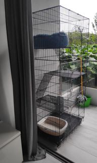 (Category: ) located in . Submitted by blubumomma (Listing ID 1140990714, Image 1). Description: .