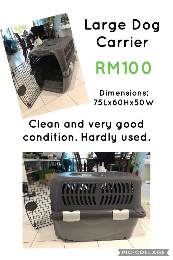 Large Dog Carrier, Pet Supplies, Pet Accessories on Carousell