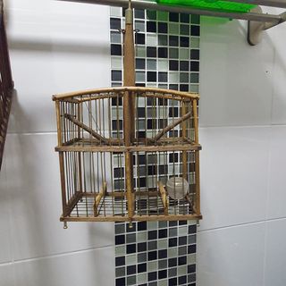 (Category: ) located in . Submitted by dinosue (Listing ID 1140857722, Image 1). Description: .