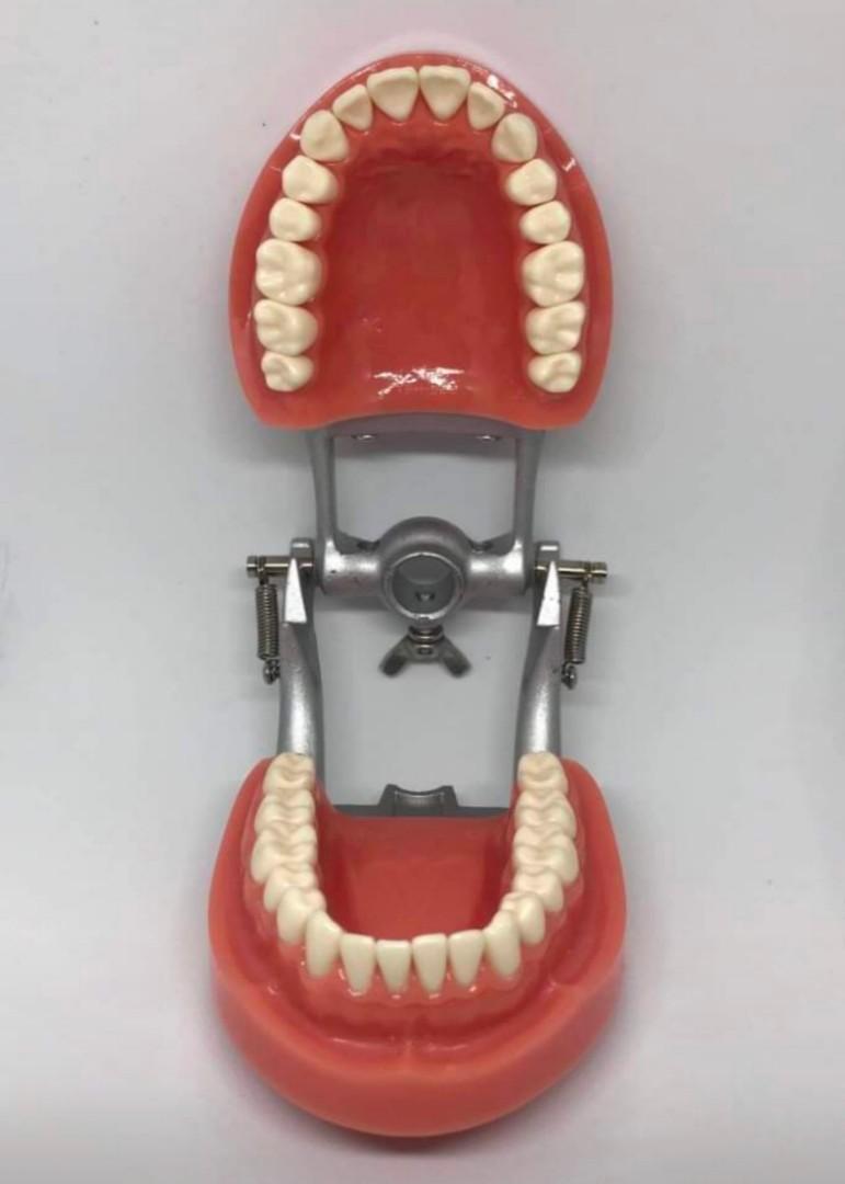 Typodont Refills (Nissin & Trimunt Compatible) (Category: Medical Supplies & Tools) located in Cavite. Submitted by chrician_olshp (Listing ID 1140991416, Image 2). Description: Typodont Refills Nissin and Trimunt Compatible - Complete set (32pcs).