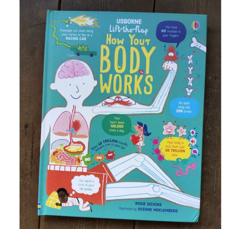 USBORNE How Body Works (brand new board book) WITH DENTS on book cover, Hobbies & Toys, Books