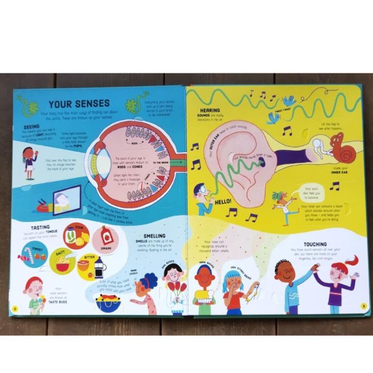 USBORNE How Body Works (brand new board book) WITH DENTS on book cover, Hobbies & Toys, Books