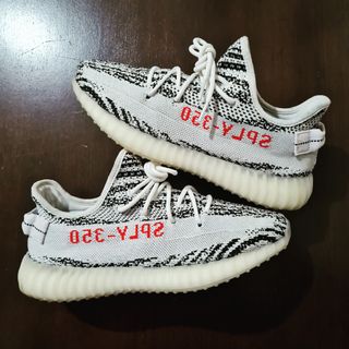 zebra yezzys