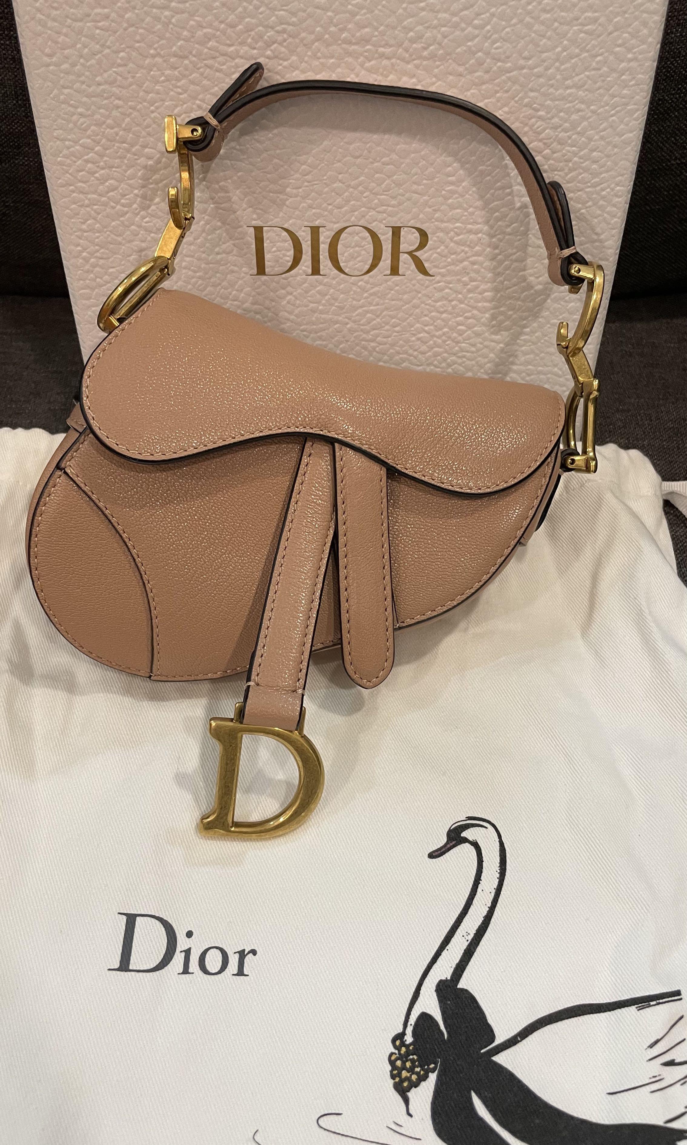 Dior - Saddle Micro Bag with Strap Rose des Vents Goatskin - Women