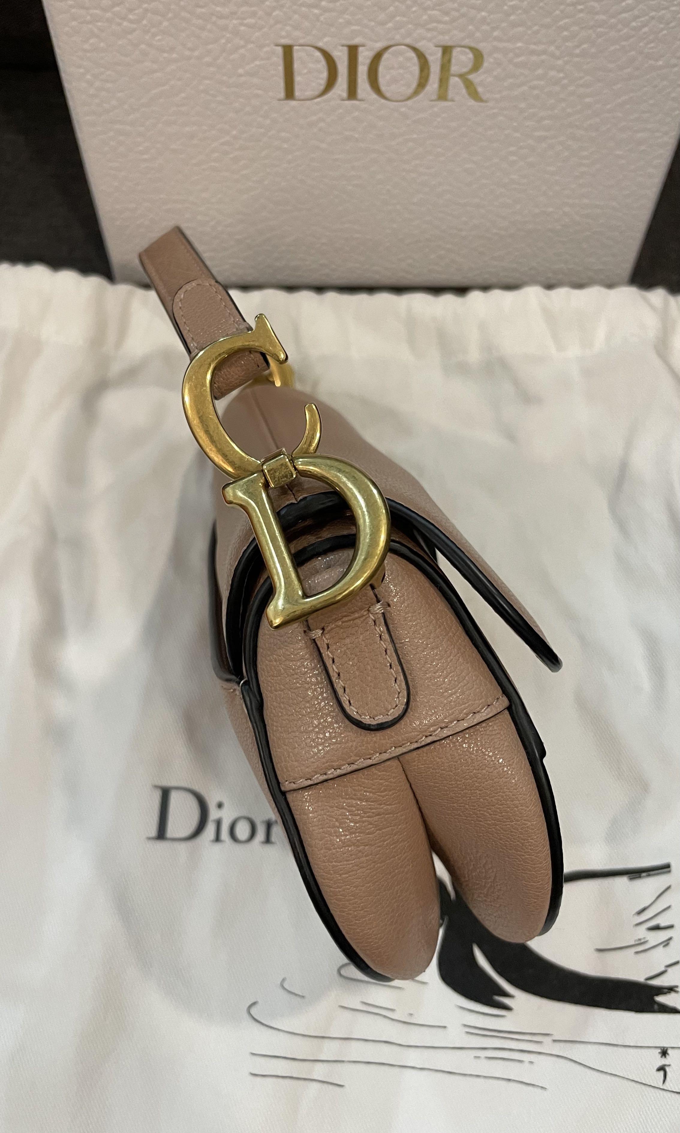 Shop Christian Dior SADDLE S5685CCEH_M49P Micro SADDLE bag Rose Des Vents  Goatskin (S5685CCEH_M49P) by 碧aoi