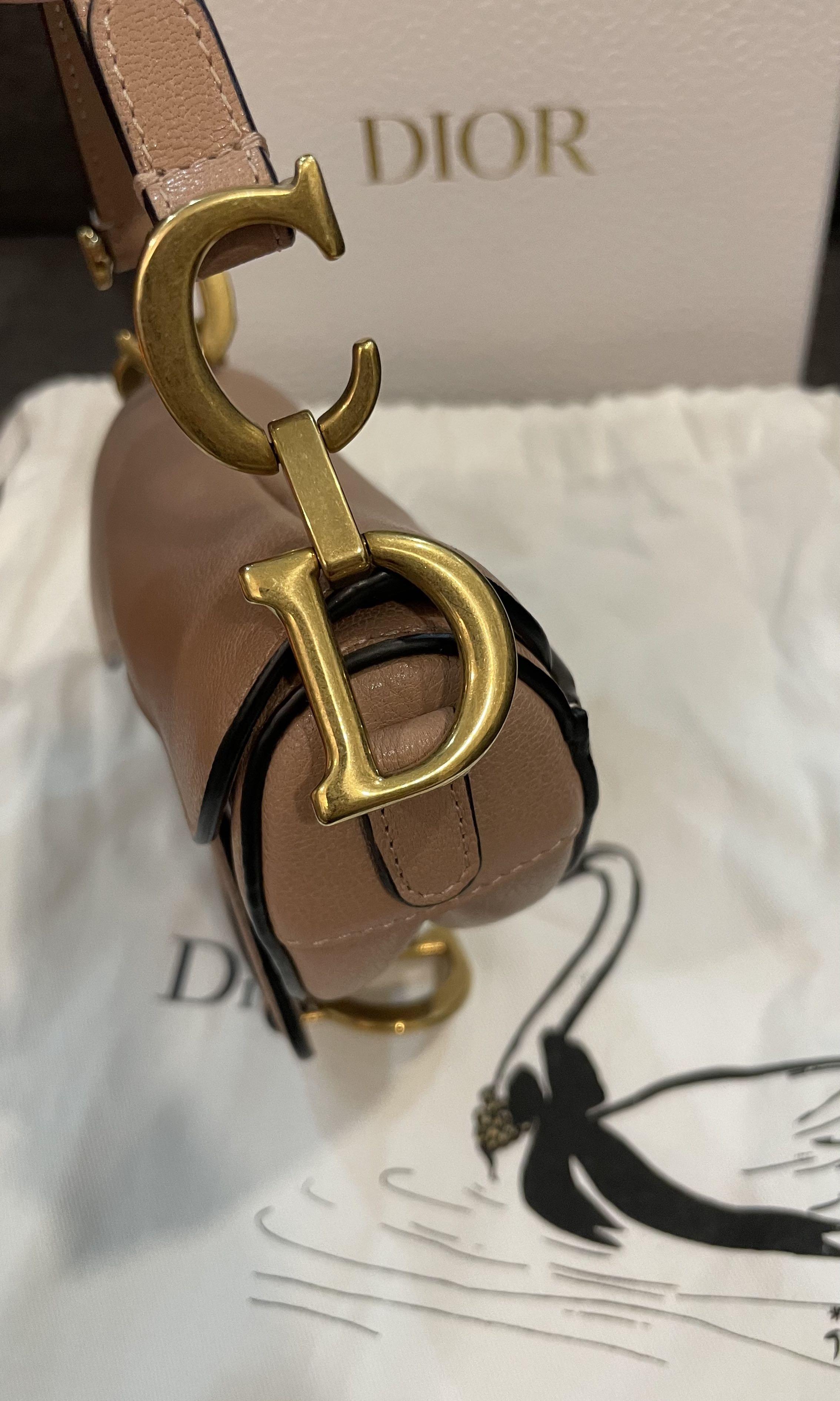 Dior - Saddle Micro Bag with Strap Rose des Vents Goatskin - Women