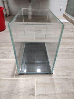 Fish/shrimp 1 ft tank
