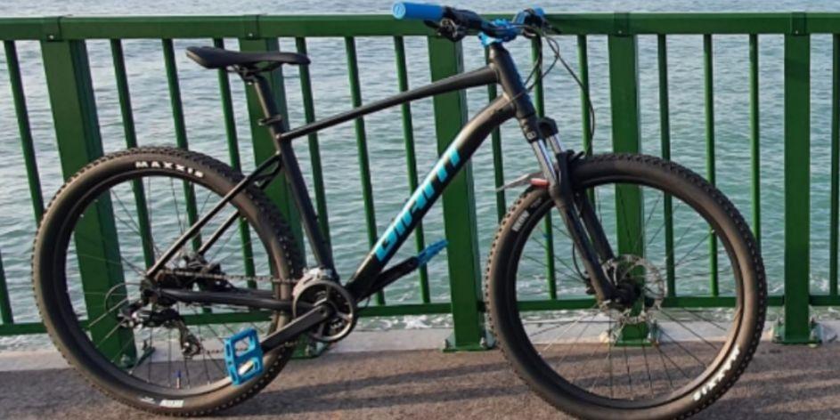 Giant talon 3 l clearance