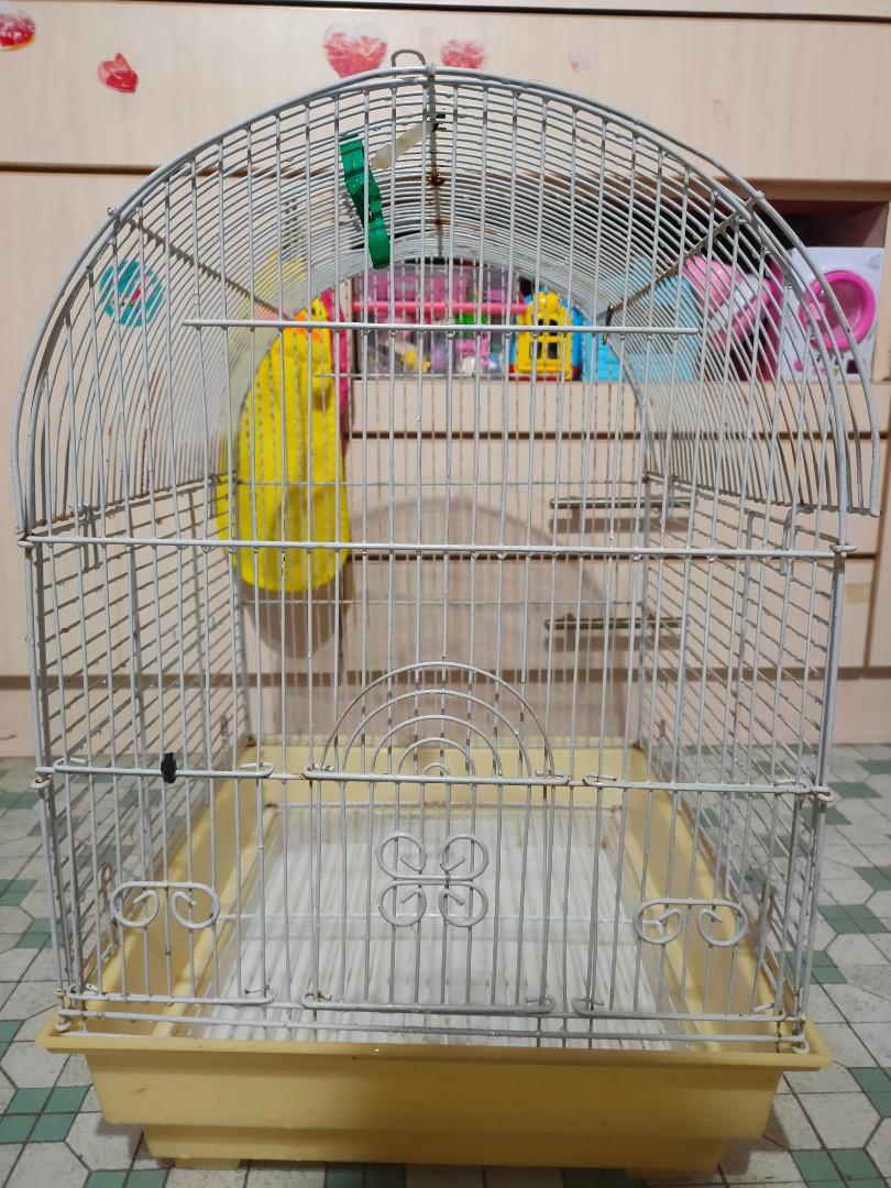 cheap bird supplies