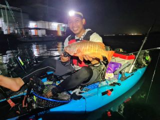 (Category: ) located in . Submitted by Leisure.Quest.Sg (Listing ID 1116317660, Image 1). Description: .