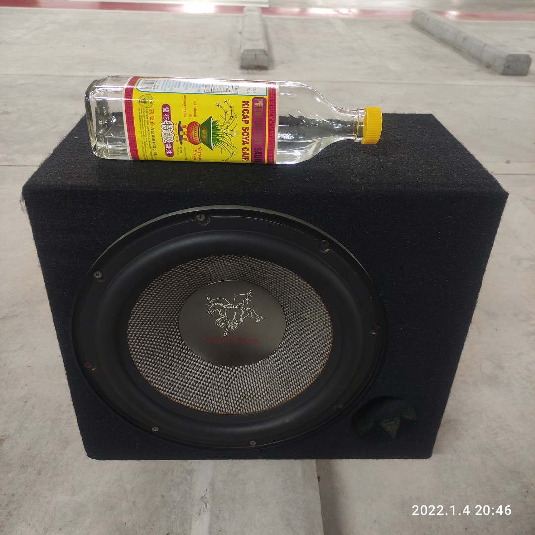 Subwoofer pegasus shop 12 inch