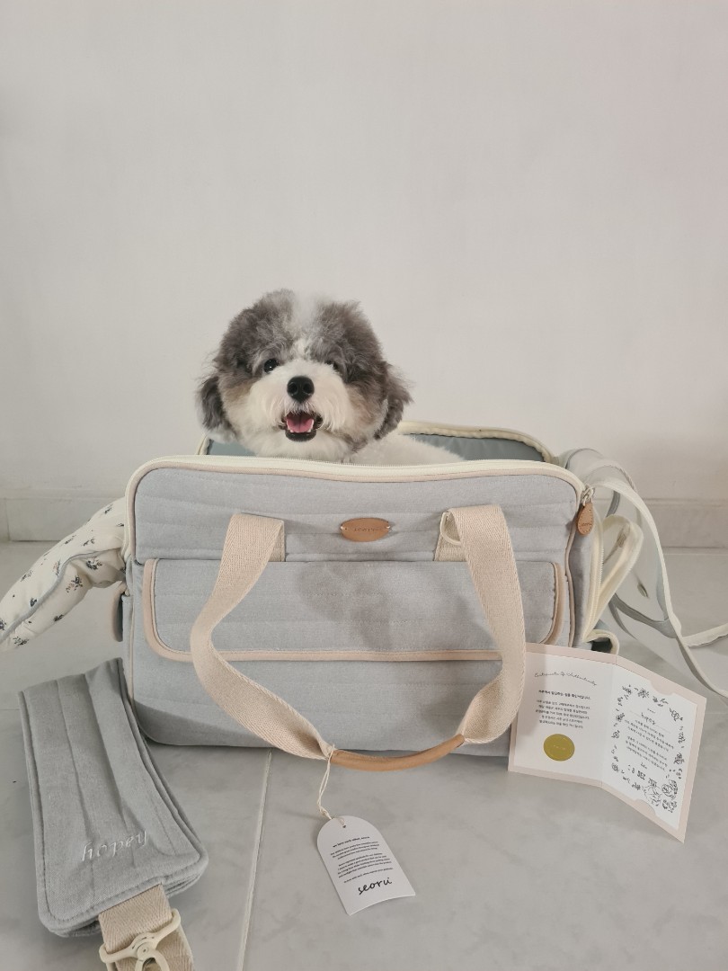 Fashion Pet Carrier Dog Carrier Purse Dog Handbag Pet Tote Bag for Small Dog  and | eBay