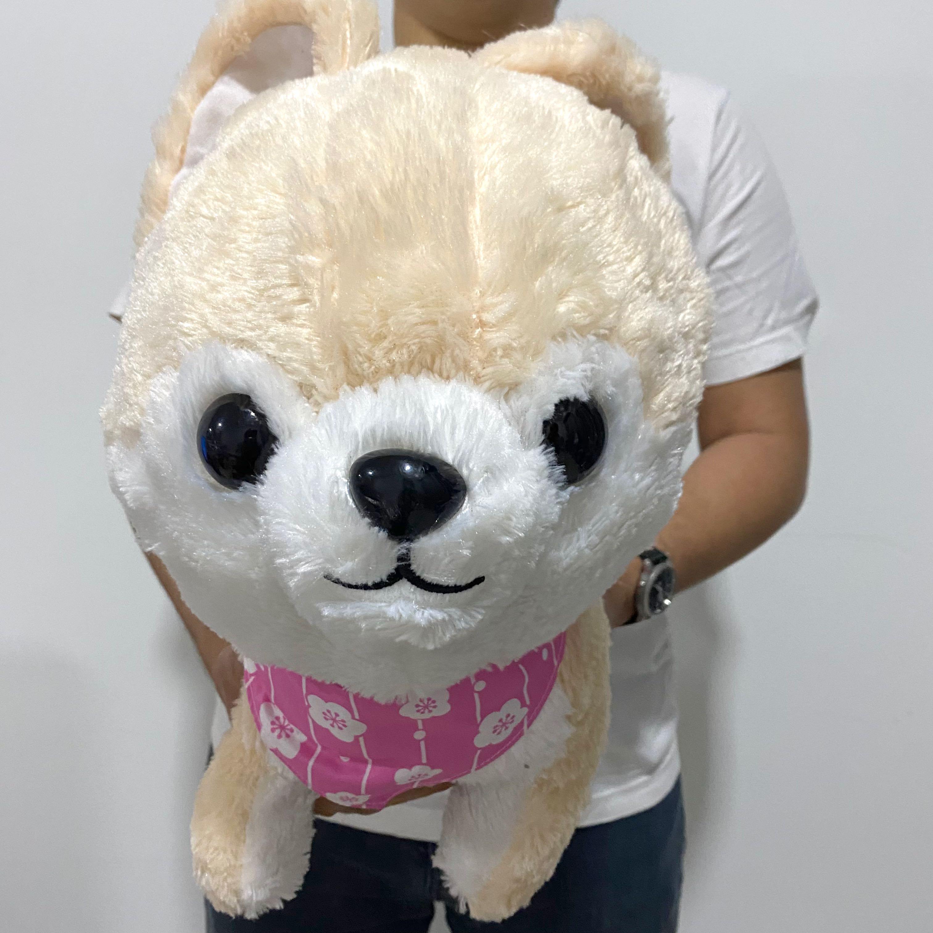 amuse collection shiba