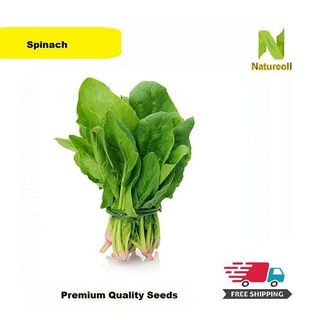 (Category: ) located in . Submitted by vegetableseedsnat (Listing ID 1135606731, Image 1). Description: .