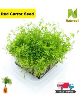 (Category: ) located in . Submitted by vegetableseedsnat (Listing ID 1135607834, Image 1). Description: .