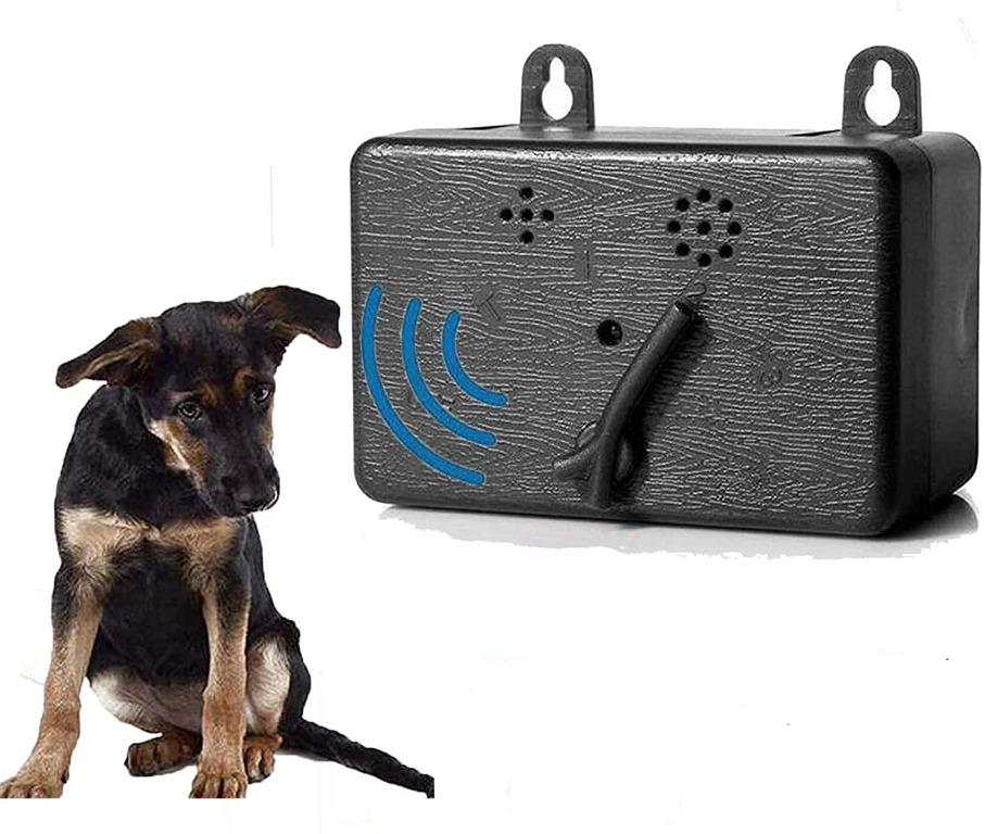 Anti bark device for neighbor's new arrivals dog