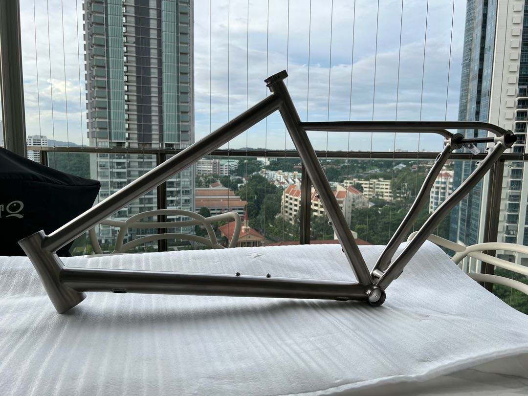 waltly titanium frame review