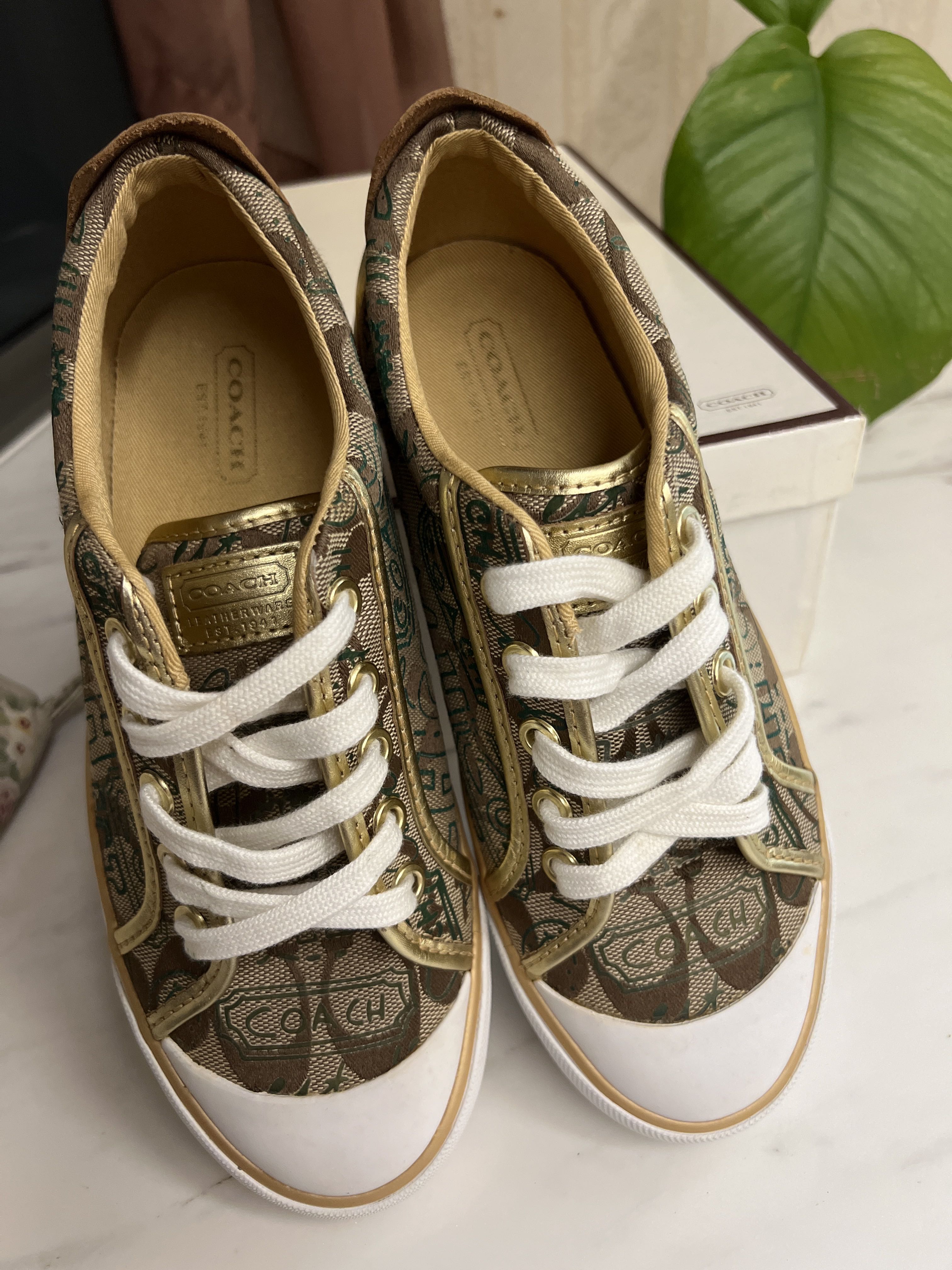 coach sneakers gold