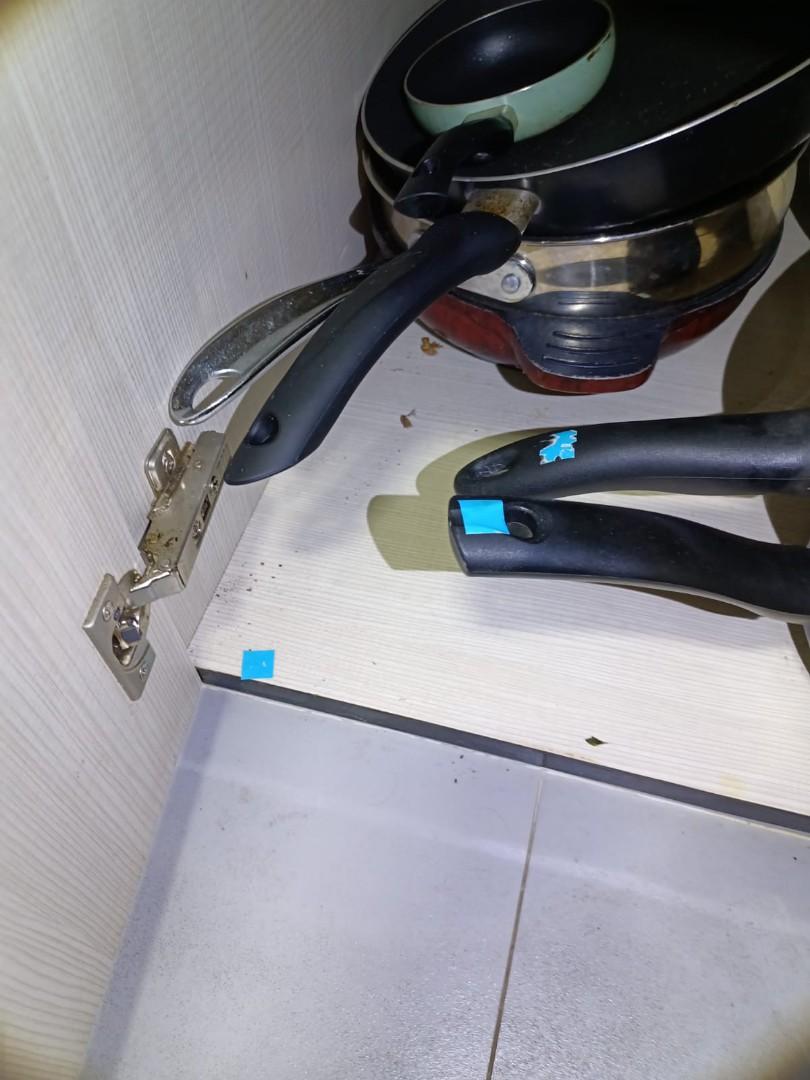 Cockroach infestation, Furniture & Home Living, Cleaning & Homecare