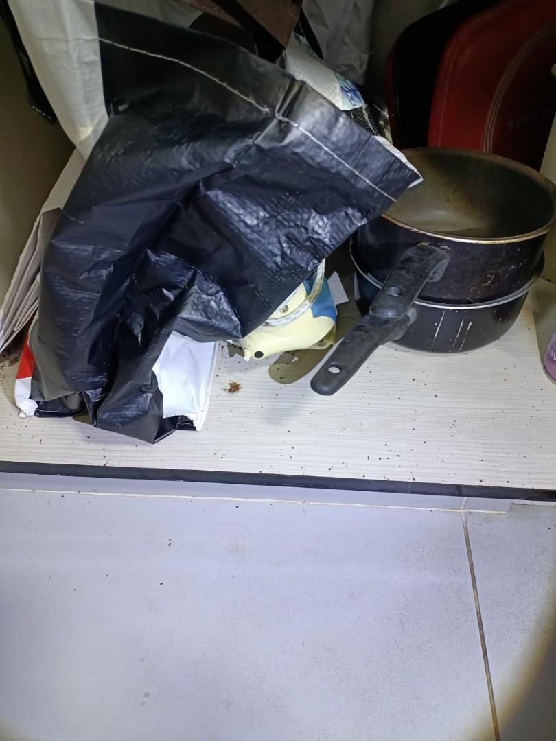 Cockroach infestation, Furniture & Home Living, Cleaning & Homecare