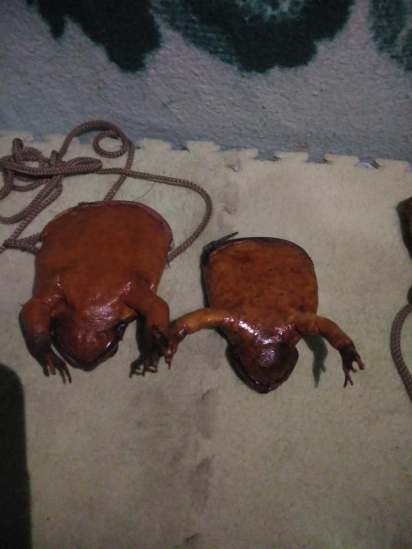 Frog Coin purse bundle (Category: Luxury Bags & Wallets) located in Romblon. Submitted by migustyles (Listing ID 1135627468, Image 3). Description: Frog coin purse 1 with sling handle in good condition Collectors item.