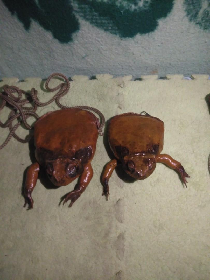 Frog Coin purse bundle (Category: Luxury Bags & Wallets) located in Romblon. Submitted by migustyles (Listing ID 1135627468, Image 1). Description: Frog coin purse 1 with sling handle in good condition Collectors item.